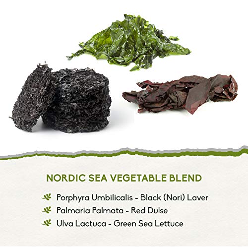 Organic Nordic Seaweed Flakes Red Dulse, Black Nori Laver, Gree