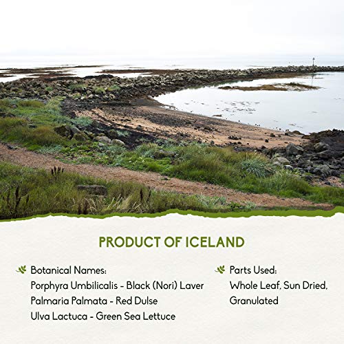 Organic Nordic Seaweed Flakes Red Dulse, Black Nori Laver, Gree