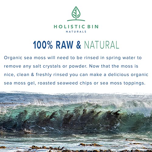 Wildcrafted Sea Palm Kelp By Holistic Bin - Vegan Whole Leaf Sea