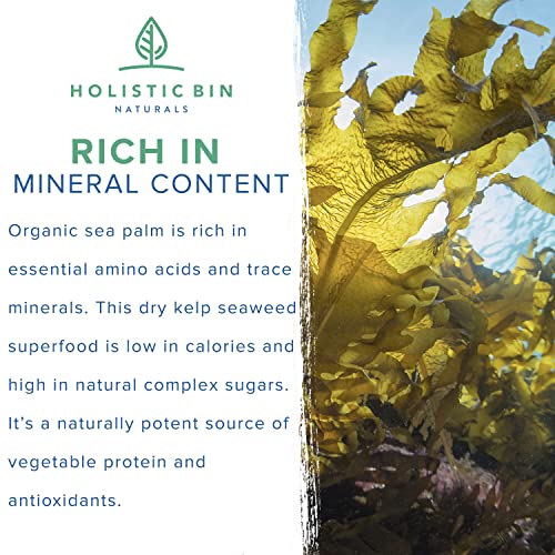 Wildcrafted Sea Palm Kelp By Holistic Bin - Vegan Whole Leaf Sea