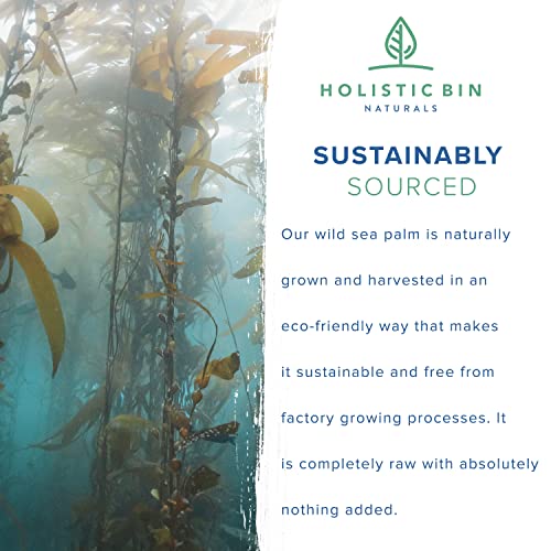 Wildcrafted Sea Palm Kelp By Holistic Bin - Vegan Whole Leaf Sea
