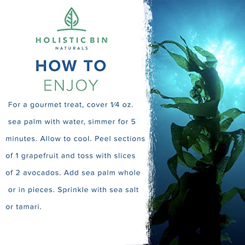 Wildcrafted Sea Palm Kelp By Holistic Bin - Vegan Whole Leaf Sea