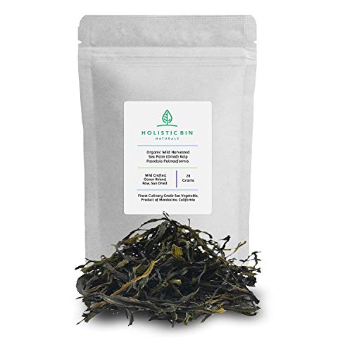 Wildcrafted Sea Palm Kelp By Holistic Bin - Vegan Whole Leaf Sea