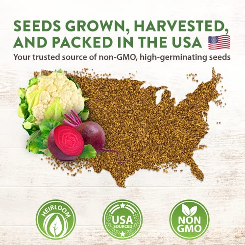 12 Fall Vegetable Seeds - USA Heirloom Non GMO Fall & Winter Veg...