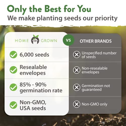 12 Fall Vegetable Seeds - USA Heirloom Non GMO Fall & Winter Veg...