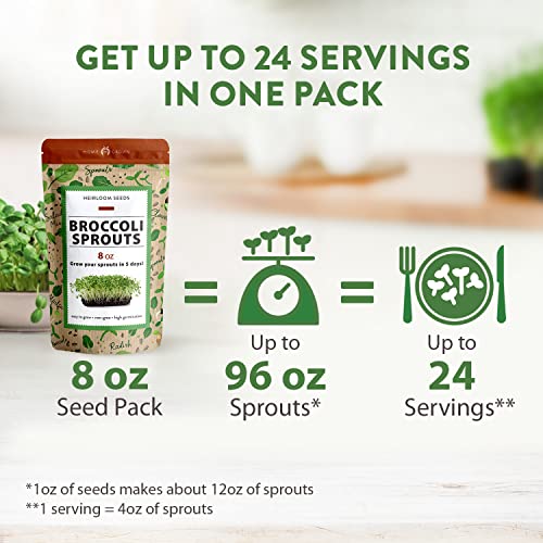Broccoli Seeds for Sprouting or Microgreens - High Germination S...