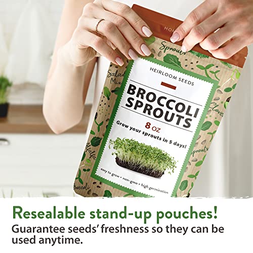 Broccoli Seeds for Sprouting or Microgreens - High Germination S...