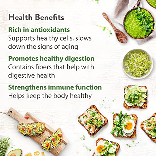 Broccoli Seeds for Sprouting or Microgreens - High Germination S...