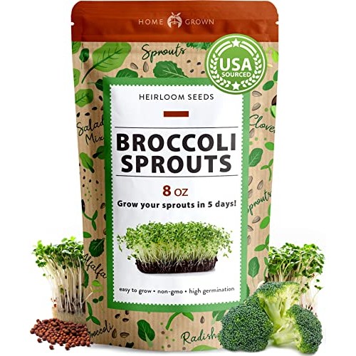 Broccoli Seeds for Sprouting or Microgreens - High Germination S...