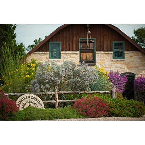 Homestead Gristmill — Non-Gmo, Chemical-Free, All-Natural, Stone