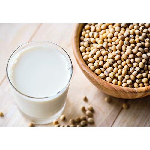 Bean, Soybean Organic Sprouting Seeds 8 Oz