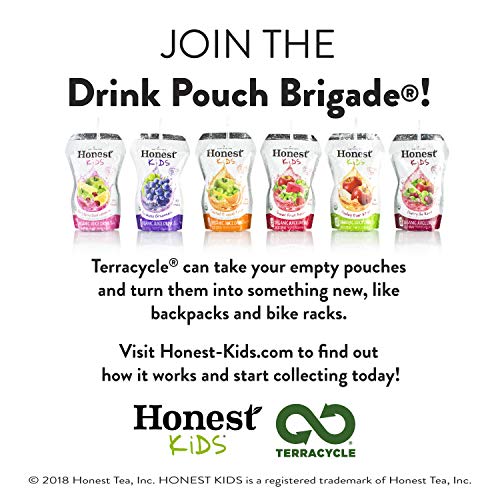 Honest Kids Appley Ever After Apple Organic Fruit Juice Drink, 6