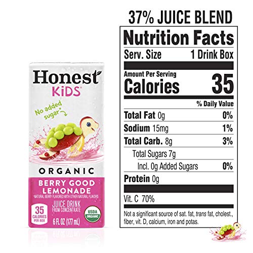 Honest Kids Berry Good Lemonade, Organic Juice Drink, 6 Fl Oz Ju