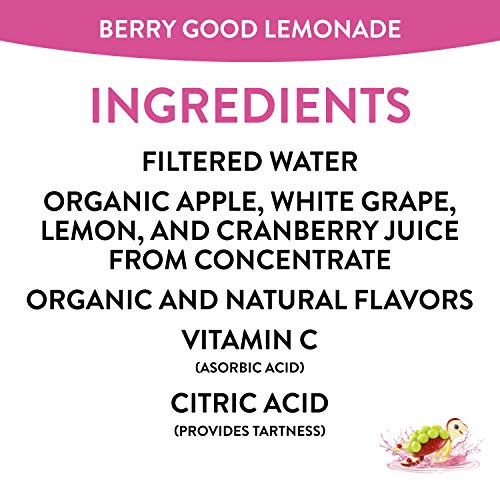 Honest Kids Berry Good Lemonade, Organic Juice Drink, 6 Fl Oz Ju