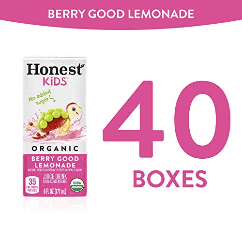 Honest Kids Berry Good Lemonade, Organic Juice Drink, 6 Fl Oz Ju