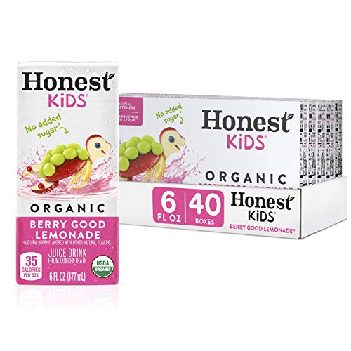 Honest Kids Berry Good Lemonade, Organic Juice Drink, 6 Fl Oz Ju