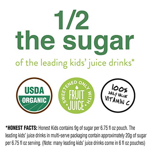 Honest Kids, Goodness Grapeness Grape Fruit Juice, 6.75 Fl Oz P