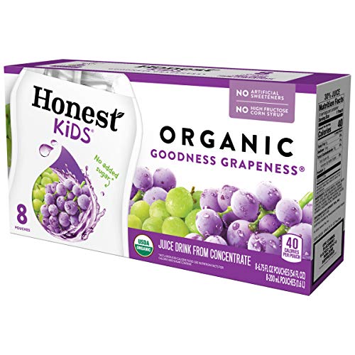 Honest Kids, Goodness Grapeness Grape Fruit Juice, 6.75 Fl Oz P
