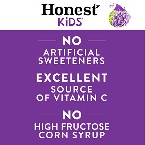 Honest Kids Goodness Grapeness, Grape Organic Fruit Juice Drink,...