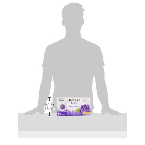 Honest Kids Goodness Grapeness, Grape Organic Fruit Juice Drink,...