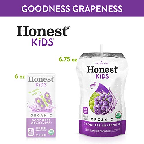 Honest Kids Goodness Grapeness, Grape Organic Fruit Juice Drink,...