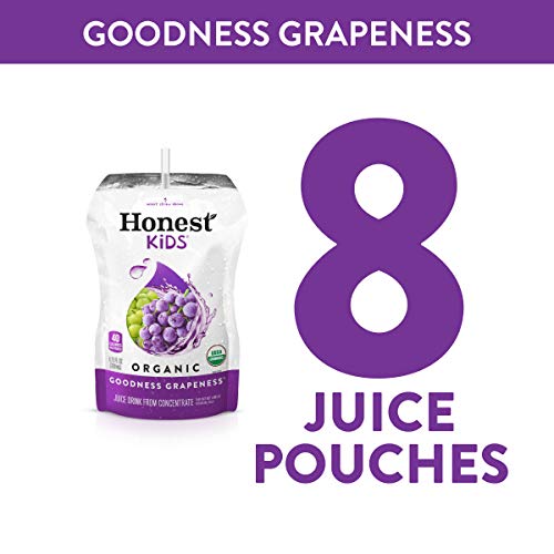 Honest Kids Goodness Grapeness, Grape Organic Fruit Juice Drink,...