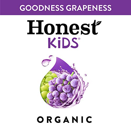 Honest Kids Goodness Grapeness, Grape Organic Fruit Juice Drink,...