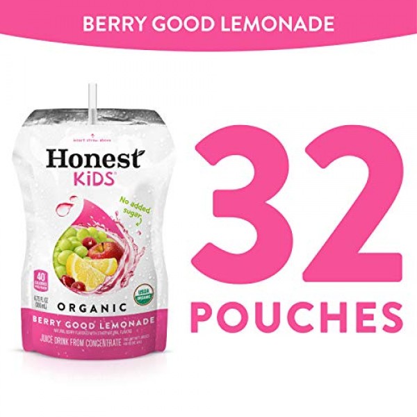 HONEST Kids Organic Juice Drink, Berry Berry Good Lemonade, 6.75...