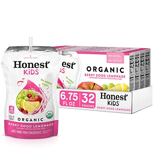 Honest Kids Organic Juice Drink, Berry Berry Good Lemonade, 6.75