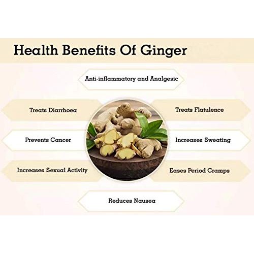 Soft Dried Fruits Variety, Amphora/Mangoes,Smyrna Figs,Apricots,