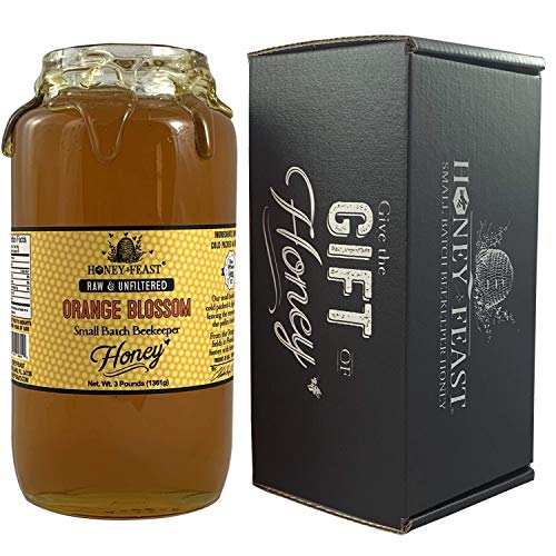 Honey Feast - Raw Orange Blossom Honey From Florida | Unfiltered