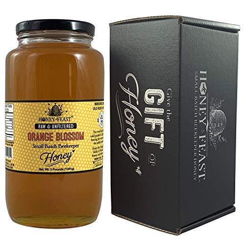 Honey Feast - Raw Orange Blossom Honey From Florida | Unfiltered