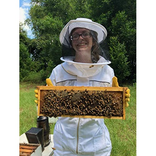 Honey Feast - Raw Wildflower Honey | From American Organic Flora