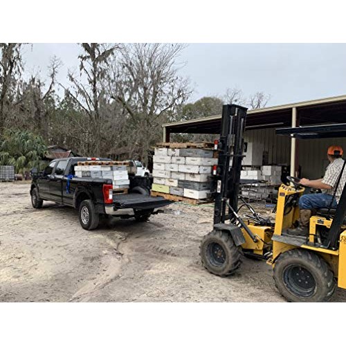 Honey Feast - Raw Wildflower Honey | From American Organic Flora