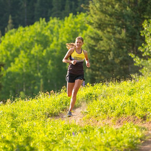 Honey Stinger Organic Waffle, Honey, Sports Nutrition, 1.06 Ounc