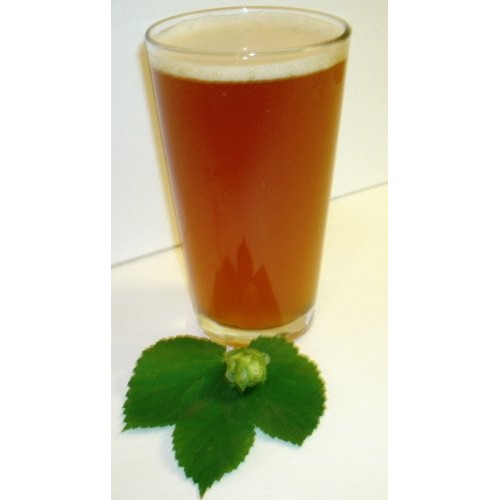 1 Gallon Beer Recipe Fresh Hop Sour