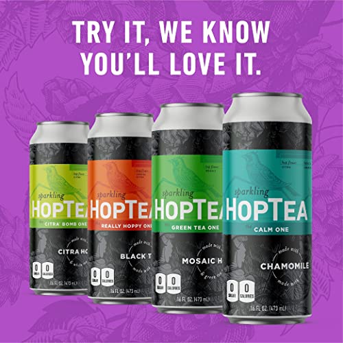 Hoplark Sparkling Hoptea - The Core Mixed Pack 12, 16Oz Cans -