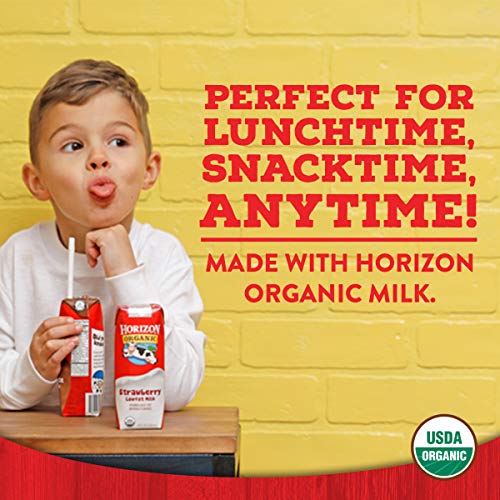 Horizon Organic Low Fat Organic Milk Box, Strawberry, 8 Ounce P