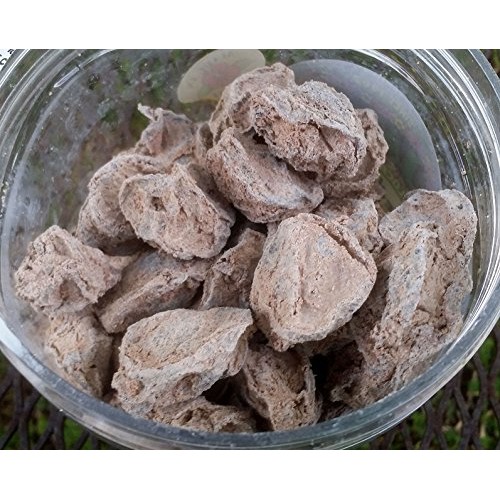 Jade Premium Li Hing Mui Dried Plum Large 17 Oz Jar