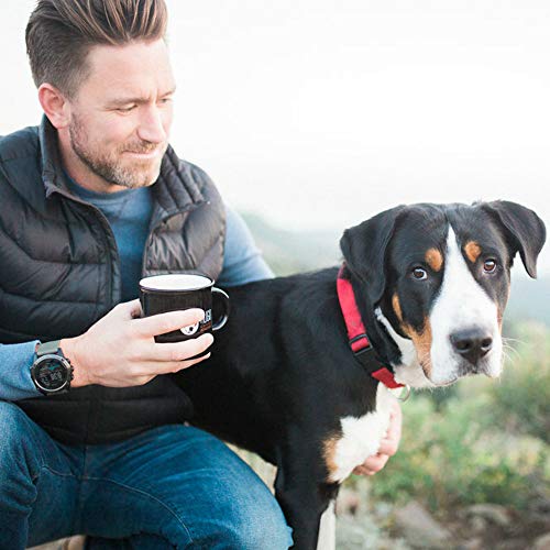 Hugo Coffee | Dog Daze Cold Brew, Coarse Ground, 1 Pound | Every