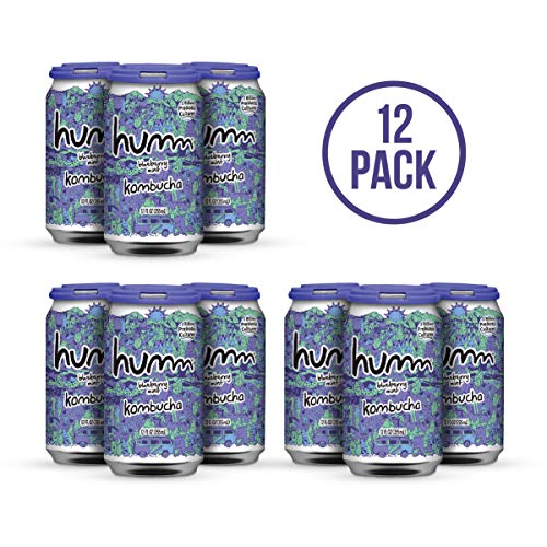 Humm Kombucha Blueberry Mint - 2 Billion Probiotics For Gut Heal