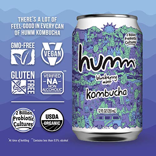 Humm Kombucha Blueberry Mint - 2 Billion Probiotics For Gut Heal