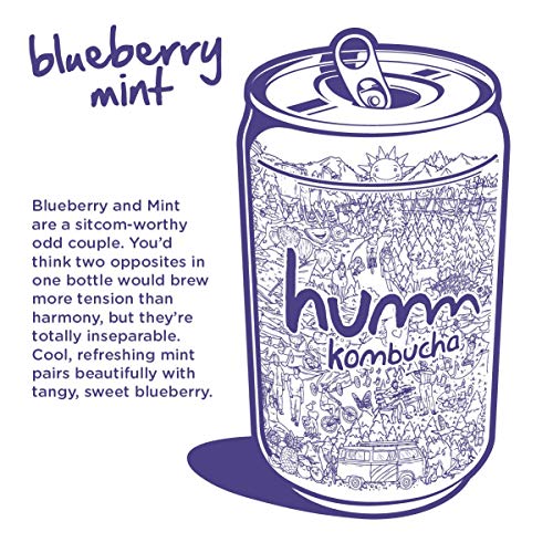 Humm Kombucha Blueberry Mint - 2 Billion Probiotics For Gut Heal