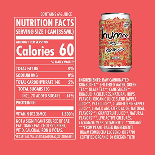 Humm Kombucha Summer Variety Pack - Mango Passionfruit, Blueberr