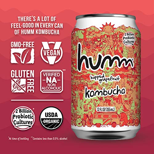Humm Kombucha Summer Variety Pack - Mango Passionfruit, Blueberr
