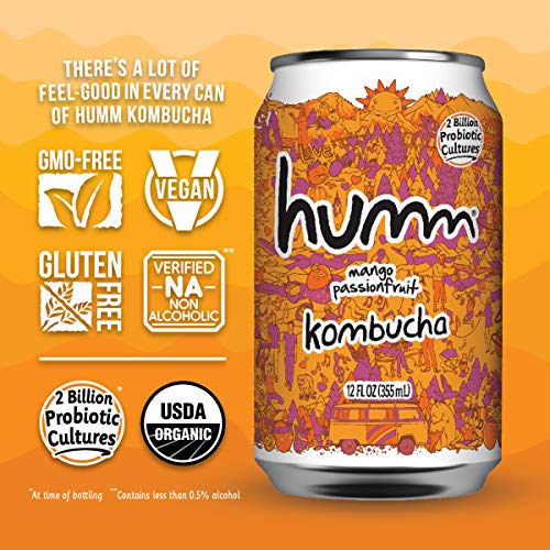 Humm Kombucha Summer Variety Pack - Mango Passionfruit, Blueberr