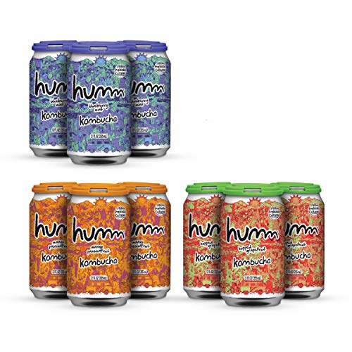 Humm Kombucha Summer Variety Pack - Mango Passionfruit, Blueberr