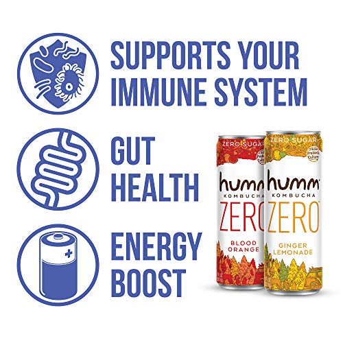 Humm Kombucha Zero Sugar Variety Pack - Live And Raw Kombucha -