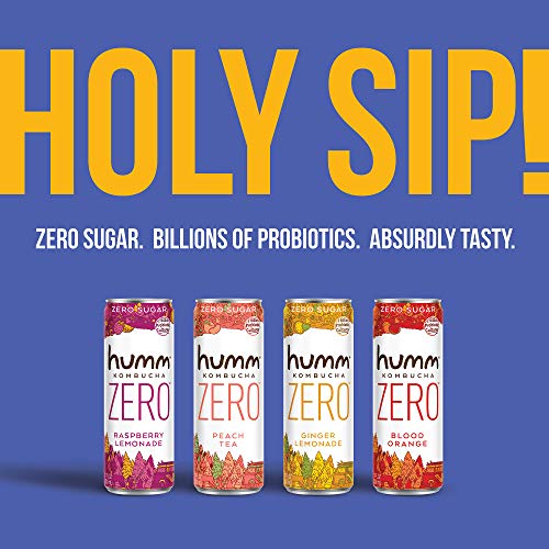 Humm Kombucha Zero Sugar Variety Pack - Live And Raw Kombucha -