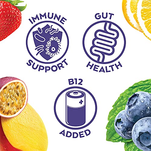 Humm Probiotic Kombucha Summer Variety Pack - 2 Billion Probioti